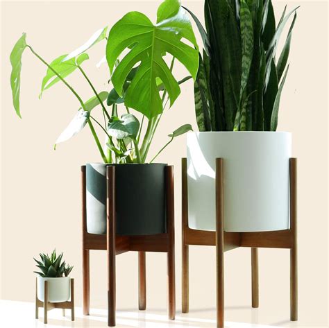 6 Fun, Modern, and Trending Indoor Planter Ideas | hpd architecture + interiors, dallas
