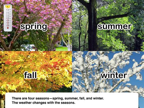 The Changing Seasons