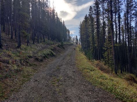 🔥🥾Hike To a Fire Lookout (Or Two) - by Annalise & Cailynn