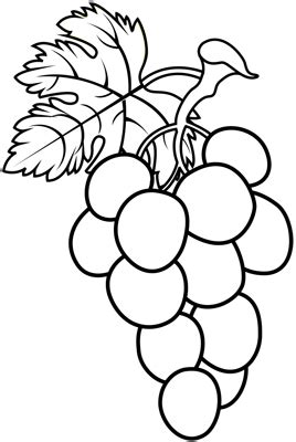 [Grapes drawing] How to draw Grapes - Easy fruit drawings for beginners - EASY TO DRAW EVERYTHING