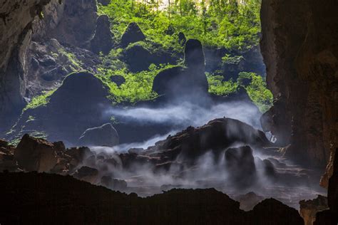 The ecosystem inside Son Doong Cave • Oxalis Adventure