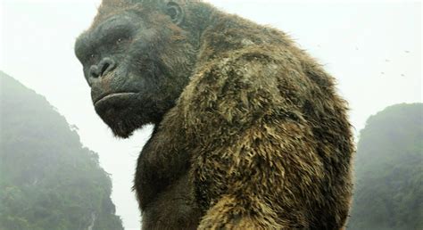 All 8 King Kong movies, ranked from worst to best