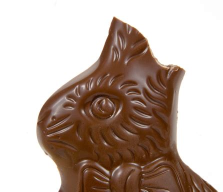 Chocolate Easter Bunny With Bitten Ears Stock Photo - Download Image Now - iStock