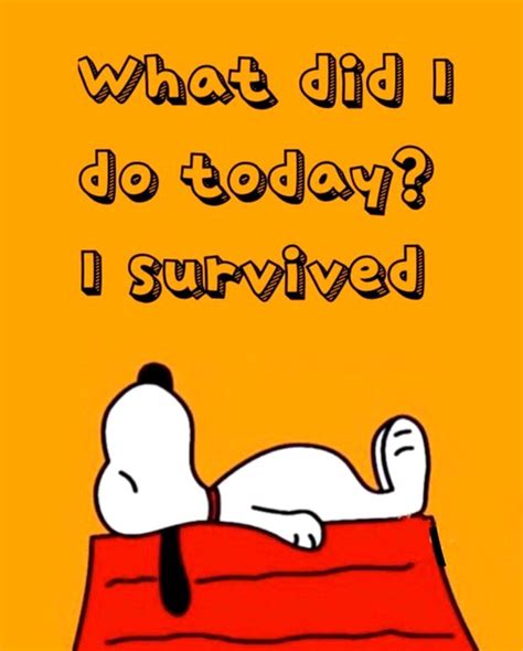 Snoopy Funny Quotes - Funny Memes