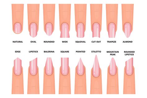 Types Of Nails Fingers: 7 Shapes Of Fingernails | Nailboo – Nailboo®