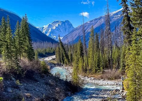 Why You Should Visit Kootenay National Park Canada