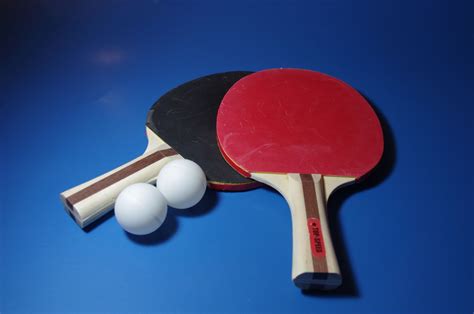 Ping Pong Sport Free Stock Photo - Public Domain Pictures