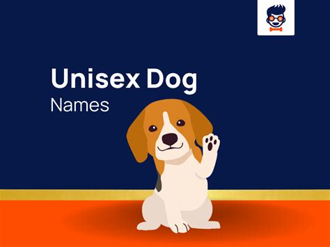 423+ Best Unisex or Gender-Neutral Dog Names for All Breed