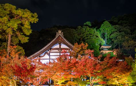 Japan Fall Colors & Autumn Foliage Guide - Travel Caffeine