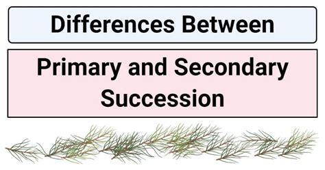 Primary vs. Secondary Succession: 12 Differences, Examples