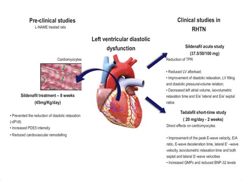 Lv Diastolic Dysfunction Grade Treatment | SEMA Data Co-op