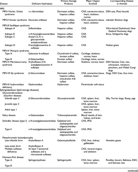 Lysosomal Storage Disease Urine Test | Dandk Organizer