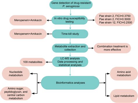 Metabolomics reveals the mechanism of action of meropenem and amikacin combined in the treatment ...