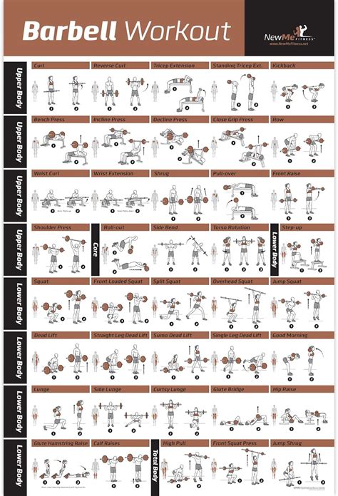 Pôster de exercícios para exercícios NewMe Fitness Barbell Laminado – Tabela de levantamento de ...