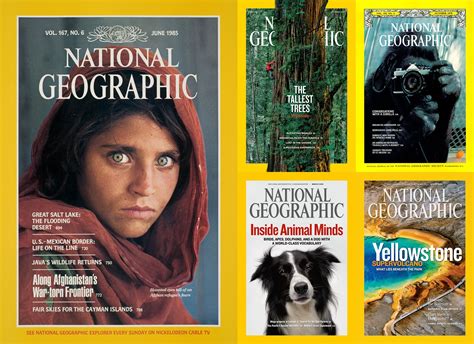 5 Irresistible National Geographic Cover Photos | National geographic ...