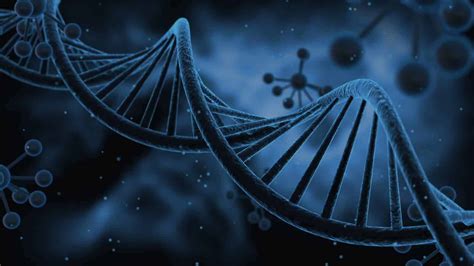 Free download dna background The Human Longevity Project [1600x900] for your Desktop, Mobile ...