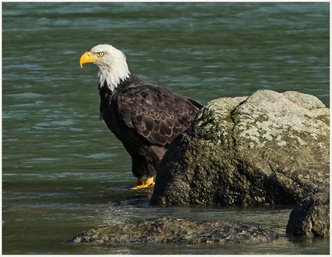 Haines, Alaska - Do It Yourself Nature Travel