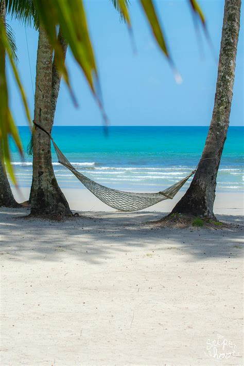 Free stock photo of beach, hammocks, sea