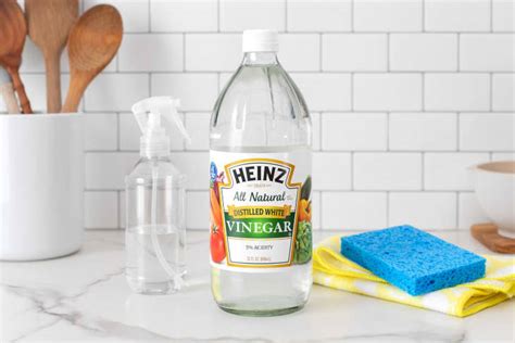 White Vinegar for Cleaning — 7 Genius White Vinegar Uses | Apartment Therapy