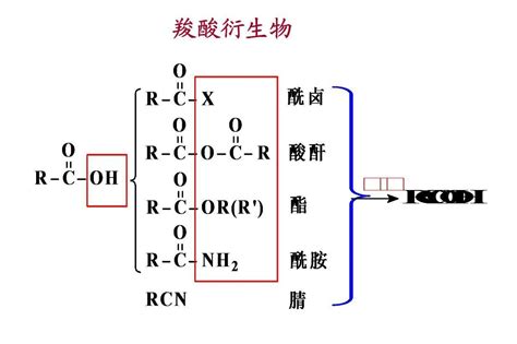 羧酸衍生物_搜狗百科