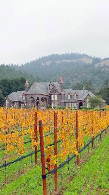 Holidays in Sonoma - Ledson Winery - Pechluck's Food Adventures