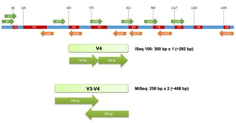 16s Rrna Sequencing Pdf - CurtisabbAnderson