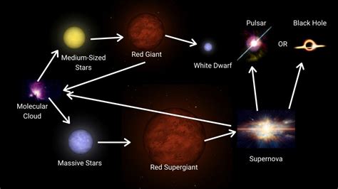 The Main Stages of the Life Cycle of a Star - Central Galaxy