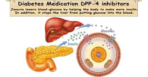 DPP-4 Inhibitor | Januvia | Diabetes Medicine