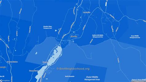 Race, Diversity, and Ethnicity in Cheshire, MA | BestNeighborhood.org