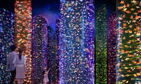 Art Aquarium becoming permanent attraction in Tokyo | blooloop