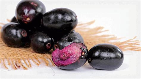 Jamun: A small, yet powerful fruit - more lifestyle - Hindustan Times