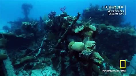 Discovery Channel 2015 | National Geographic 2015 Documentary Drain the Bermuda Triangle - Vidéo ...