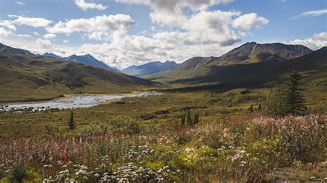 What is a Subarctic Climate? - WorldAtlas