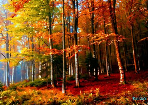 Colorful Forest by Dalidas-Art on DeviantArt