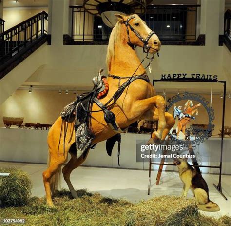 Trigger Horse Photos and Premium High Res Pictures - Getty Images