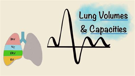 Lung Volumes and Capacities | Spirogram | Spirometry | Respiratory Physiology - YouTube