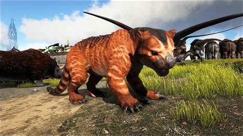 Ark Survival Ascended Thylacoleo taming guide