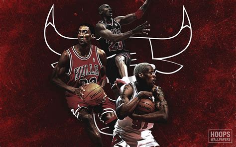 NEW Scottie Pippen, Dennis Rodman and Michael Jordan Chicago Bulls ...