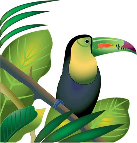 Download High Quality Animal clipart tropical rainforest Transparent PNG Images - Art Prim clip ...