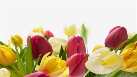 🔥 [46+] Easter Flower Wallpapers | WallpaperSafari