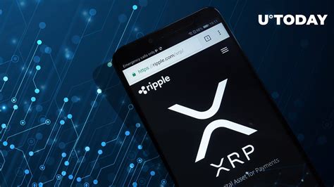 New XRP Ledger Wallet Unveiled by Ripple: Here's Your Ultimate Guide