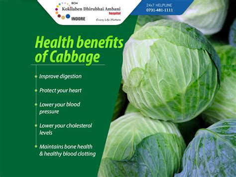 Health benefits of cabbage