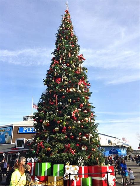 Christmas in San Francisco 2024 - Local's Guide