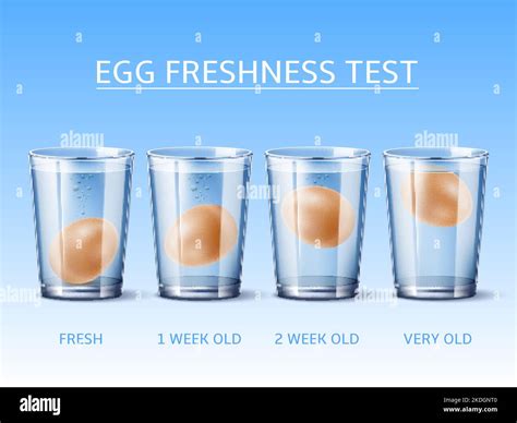 Realistic egg freshness test. Hen egg floating in glass with water ...