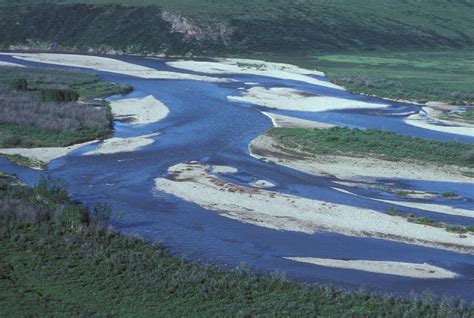 Free picture: chandalar, river, summer, Arctic, national, wildlfe, refuge