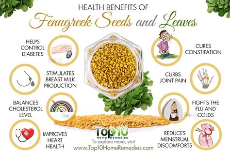 Top 10 Health Benefits of Fenugreek Seeds and Leaves | Top 10 Home Remedies