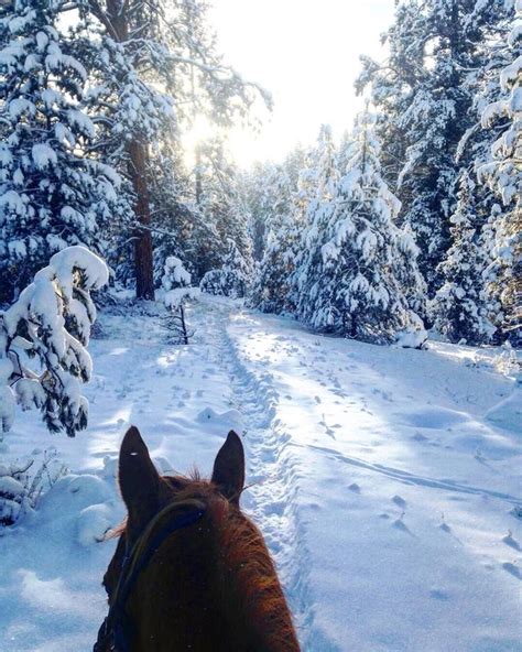 Winter Vacations | Montana vacations | Horseback riding | Montana vacation, Winter travel ...