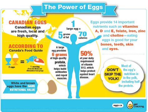 Egg Nutrition | Get Cracking