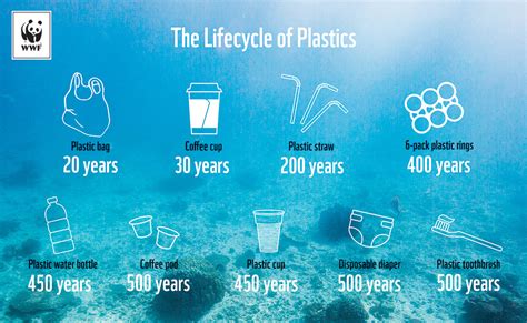 How long do plastics last in the environment? - Global Recycle