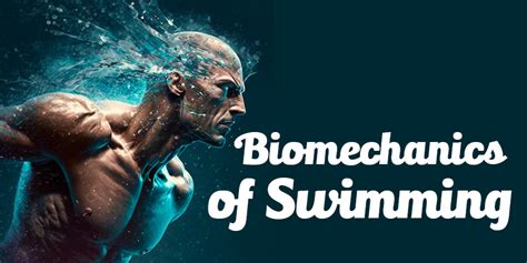 Biomechanics of swimming - Notes LITE